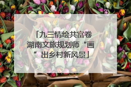 九三情绘共富卷 湖南文旅规划师“画”出乡村新风景