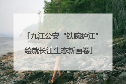 九江公安“铁腕护江”绘就长江生态新画卷