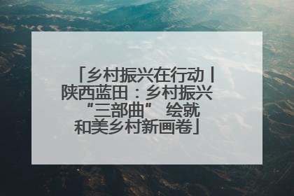 乡村振兴在行动丨陕西蓝田：乡村振兴 “三部曲” 绘就和美乡村新画卷