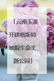 云南玉溪开建喀斯特地貌生命主题公园