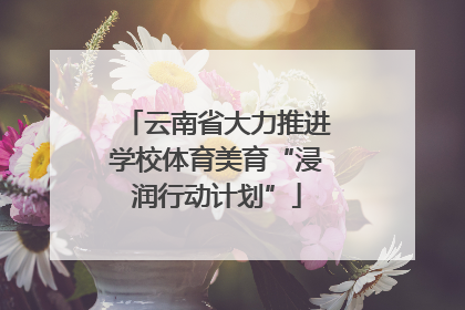 云南省大力推进学校体育美育“浸润行动计划”