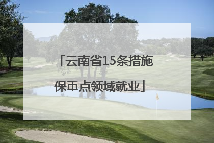 云南省15条措施保重点领域就业
