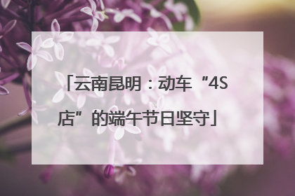 云南昆明：动车“4S店”的端午节日坚守
