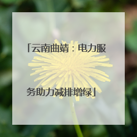 云南曲靖：电力服务助力减排增绿
