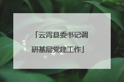 云霄县委书记调研基层党建工作
