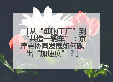 从“细胞工厂”到“共造一辆车”：京津冀协同发展如何跑出“加速度”？