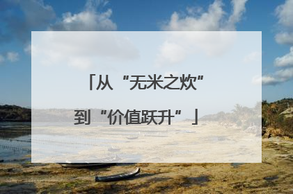 从“无米之炊”到“价值跃升”
