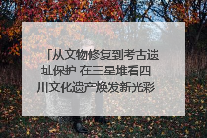 从文物修复到考古遗址保护 在三星堆看四川文化遗产焕发新光彩｜您牵挂的四川