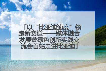 以“比亚迪速度”领跑新赛道——媒体融合发展暨绿色创新实践交流会首站走进比亚迪