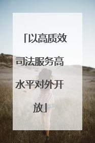 以高质效司法服务高水平对外开放