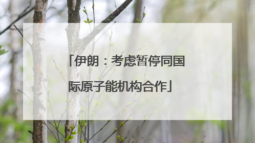 伊朗：考虑暂停同国际原子能机构合作