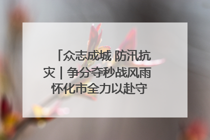 众志成城 防汛抗灾｜争分夺秒战风雨 怀化市全力以赴守护人民群众安全