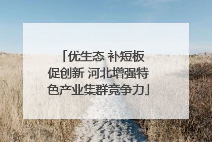 优生态 补短板 促创新 河北增强特色产业集群竞争力