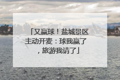 又赢球！盐城景区主动开麦：球我赢了，旅游我请了