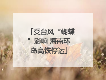 受台风“蝴蝶”影响 海南环岛高铁停运