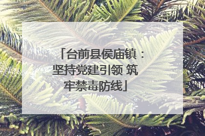 台前县侯庙镇：坚持党建引领 筑牢禁毒防线