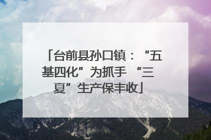 台前县孙口镇：“五基四化”为抓手 “三夏”生产保丰收