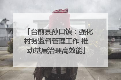 台前县孙口镇：强化村务监督管理工作 推动基层治理高效能