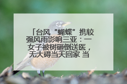 台风“蝴蝶”携较强风雨影响三亚：一女子被树砸倒送医，无大碍当天回家 当地已紧急清障