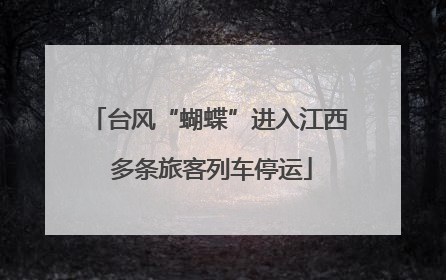 台风“蝴蝶”进入江西 多条旅客列车停运