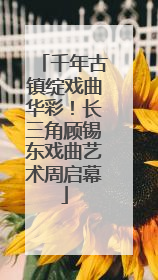 千年古镇绽戏曲华彩！长三角顾锡东戏曲艺术周启幕