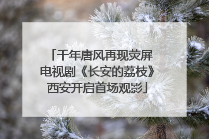 千年唐风再现荧屏 电视剧《长安的荔枝》西安开启首场观影