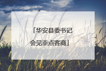 华安县委书记会见重点客商