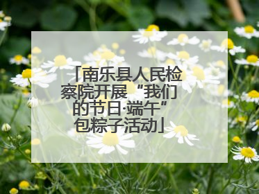 南乐县人民检察院开展“我们的节日·端午”包粽子活动