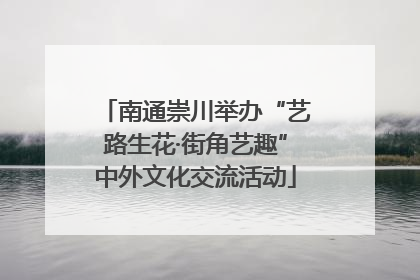 南通崇川举办“艺路生花·街角艺趣”中外文化交流活动