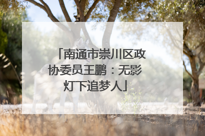 南通市崇川区政协委员王鹏：无影灯下追梦人