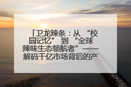 卫龙辣条：从 “校园记忆” 到 “全球辣味生态领航者”——解码千亿市场背后的产品创新与全链路破圈