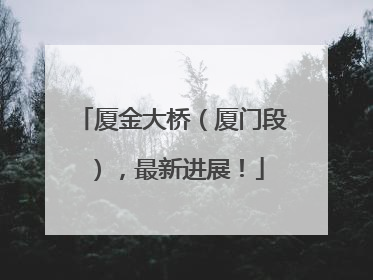 厦金大桥（厦门段），最新进展！