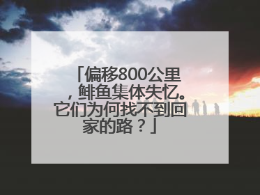 偏移800公里，鲱鱼集体失忆。它们为何找不到回家的路？
