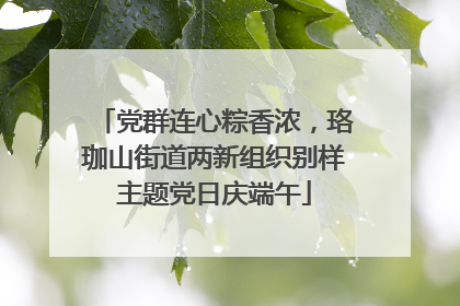 党群连心粽香浓，珞珈山街道两新组织别样主题党日庆端午