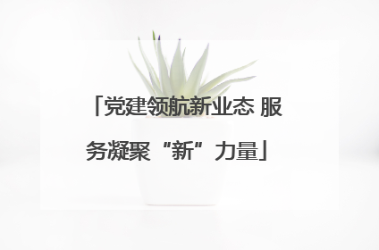 党建领航新业态 服务凝聚“新”力量