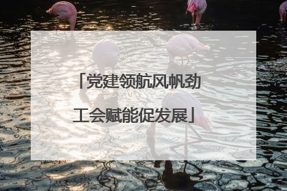 党建领航风帆劲 工会赋能促发展