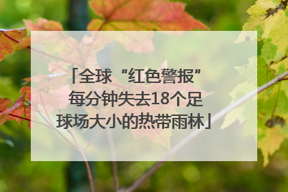 全球“红色警报”  每分钟失去18个足球场大小的热带雨林