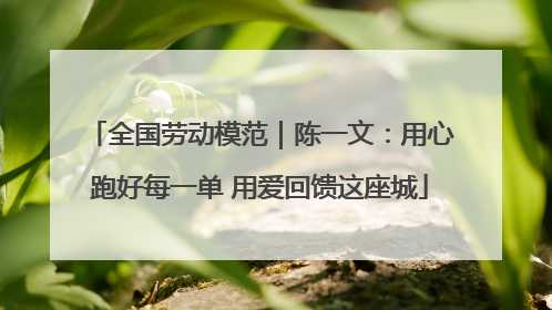 全国劳动模范｜陈一文：用心跑好每一单 用爱回馈这座城