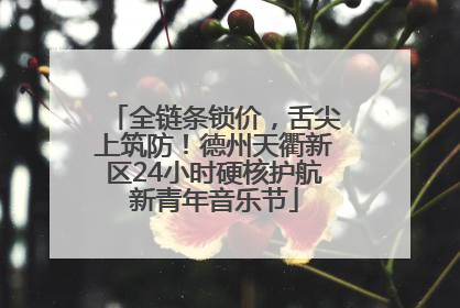 全链条锁价，舌尖上筑防！德州天衢新区24小时硬核护航新青年音乐节