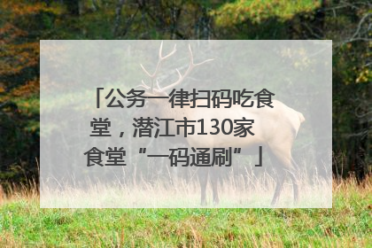 公务一律扫码吃食堂，潜江市130家食堂“一码通刷”