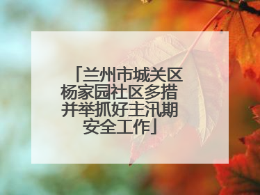兰州市城关区杨家园社区多措并举抓好主汛期安全工作