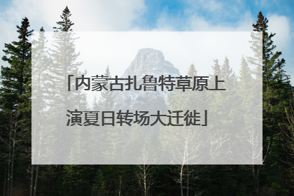 内蒙古扎鲁特草原上演夏日转场大迁徙