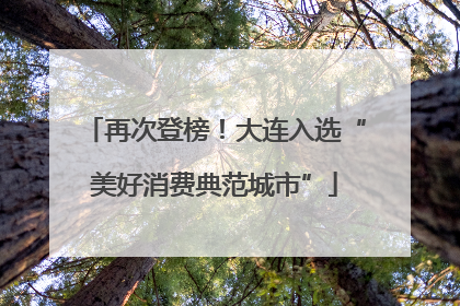 再次登榜！大连入选“美好消费典范城市”