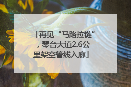 再见“马路拉链”，琴台大道2.6公里架空管线入廊