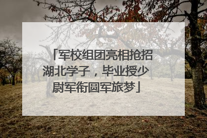 军校组团亮相抢招湖北学子，毕业授少尉军衔圆军旅梦