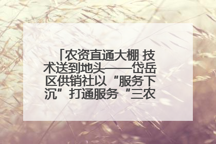 农资直通大棚 技术送到地头——岱岳区供销社以“服务下沉”打通服务“三农”最后一公里
