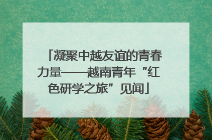 凝聚中越友谊的青春力量——越南青年“红色研学之旅”见闻