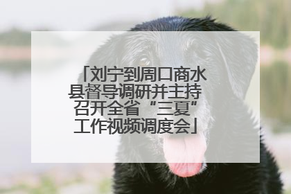 刘宁到周口商水县督导调研并主持召开全省“三夏”工作视频调度会