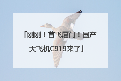 刚刚！首飞厦门！国产大飞机C919来了