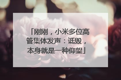 刚刚，小米多位高管集体发声：诋毁，本身就是一种仰望